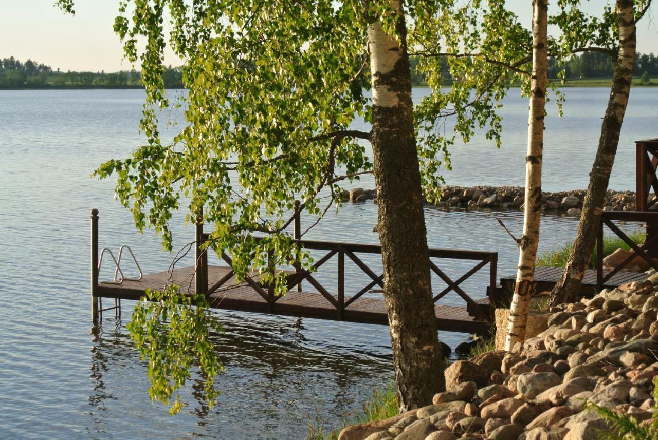 Вилла Kesaepesae Artjarvi Экстерьер фото
